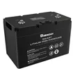 Renogy Smart LiFePO batéria 12,8V/100Ah 